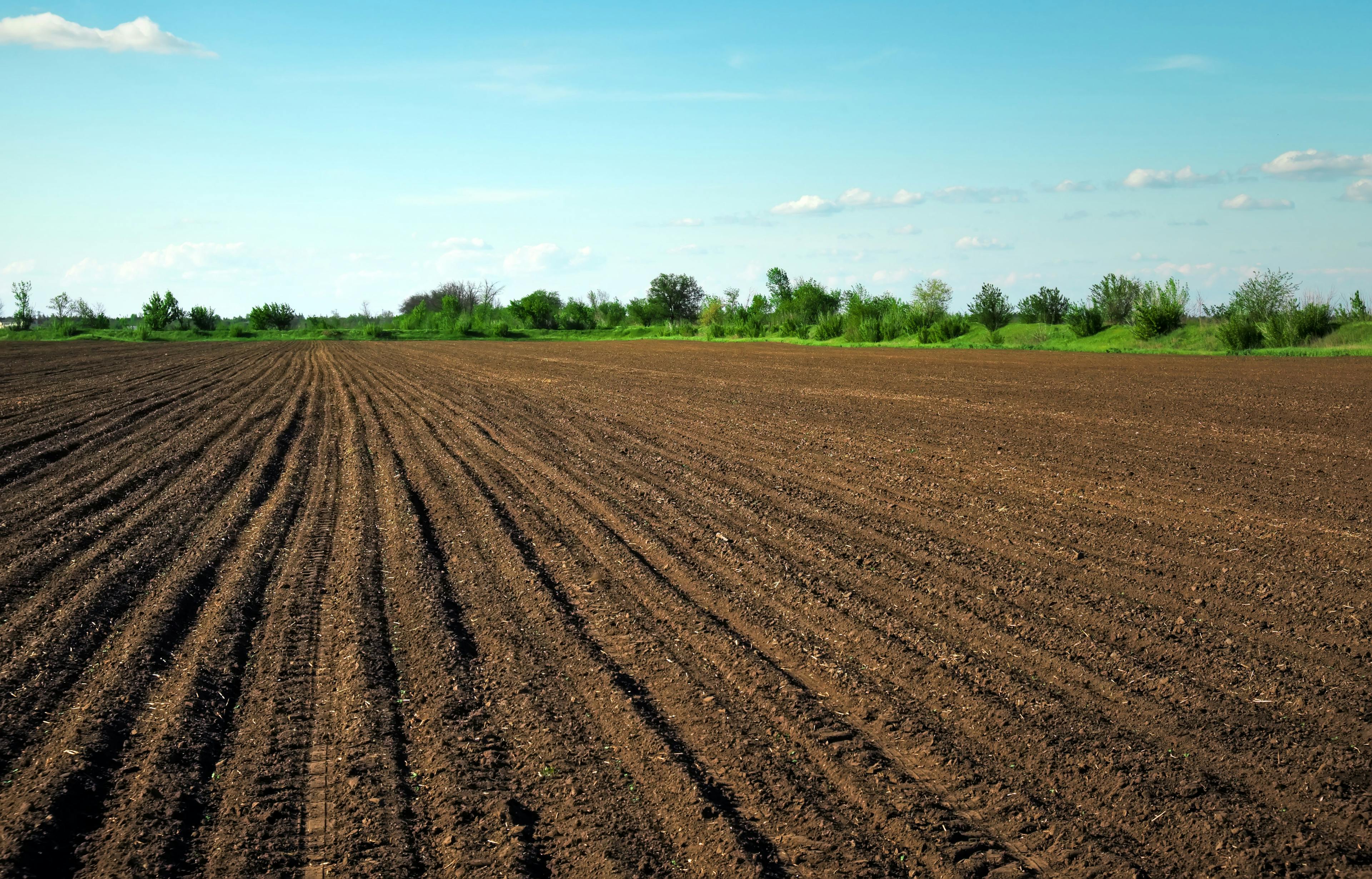 Preparing field for planting. Plowed soil in spring time with two tubes and blue sky. | Image Credit: © es0lex - stock.adobe.com
