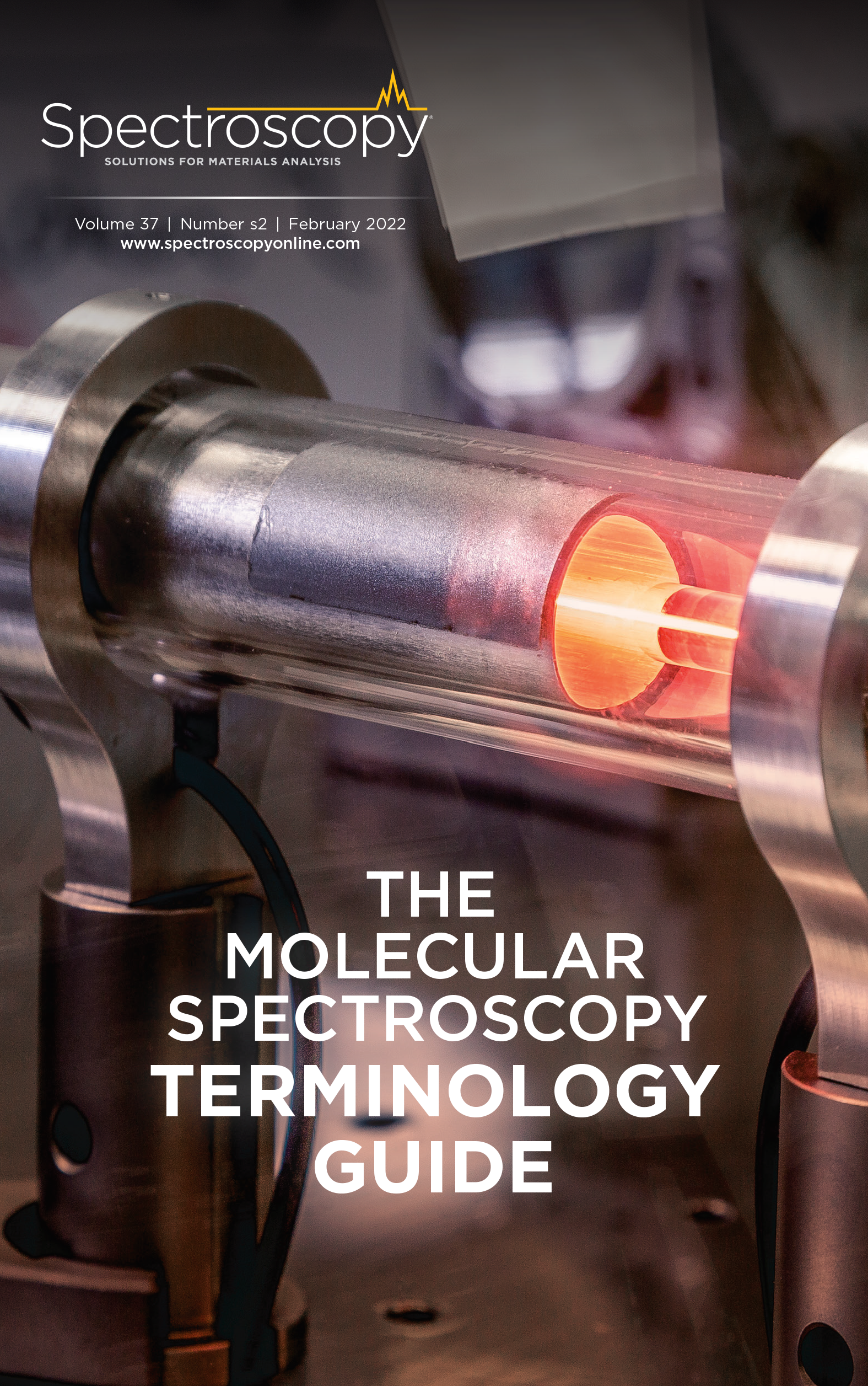 The Molecular Spectroscopy Terminology Guide