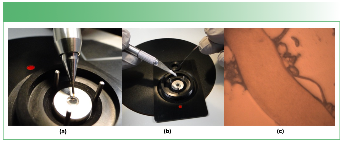 FIGURE 2: Compression cell. (a) Pick-Pen (ST Japan) used to place fiber on bottom window; (b) addition of KBr powder; (c) sample seen via microscope (KBr is visible on sides of fiber).