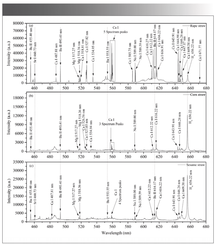 FIGURE 3: Partial emission spectra (450-680 nm) of burning smoke of three oil crop straw samples: (a) rape straw, (b) corn straw, (c) sesame straw.