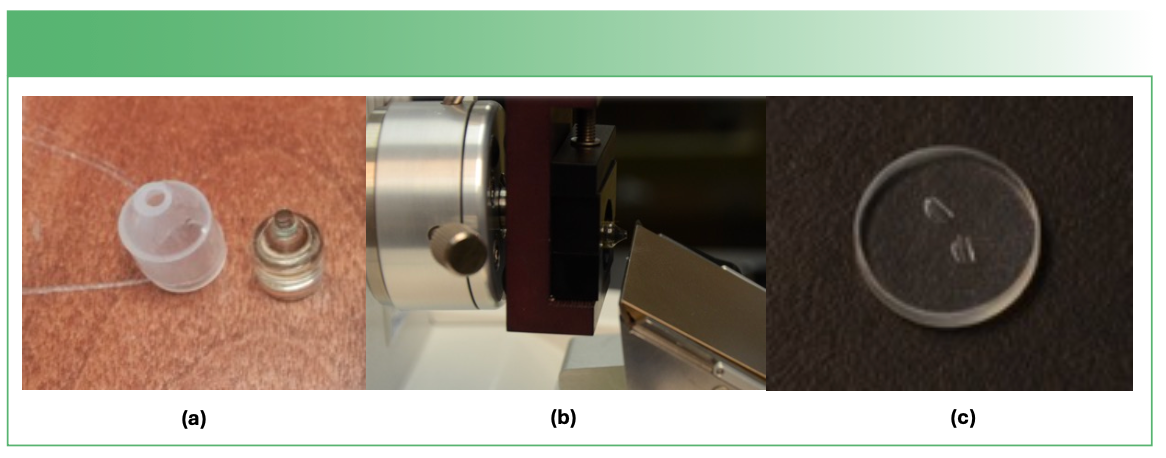 FIGURE 3: Epoxy mounting. (a) “Funnel” mold and a completed epoxy mold; (b) microtome cutting small puck; (c) microtomed samples on window.