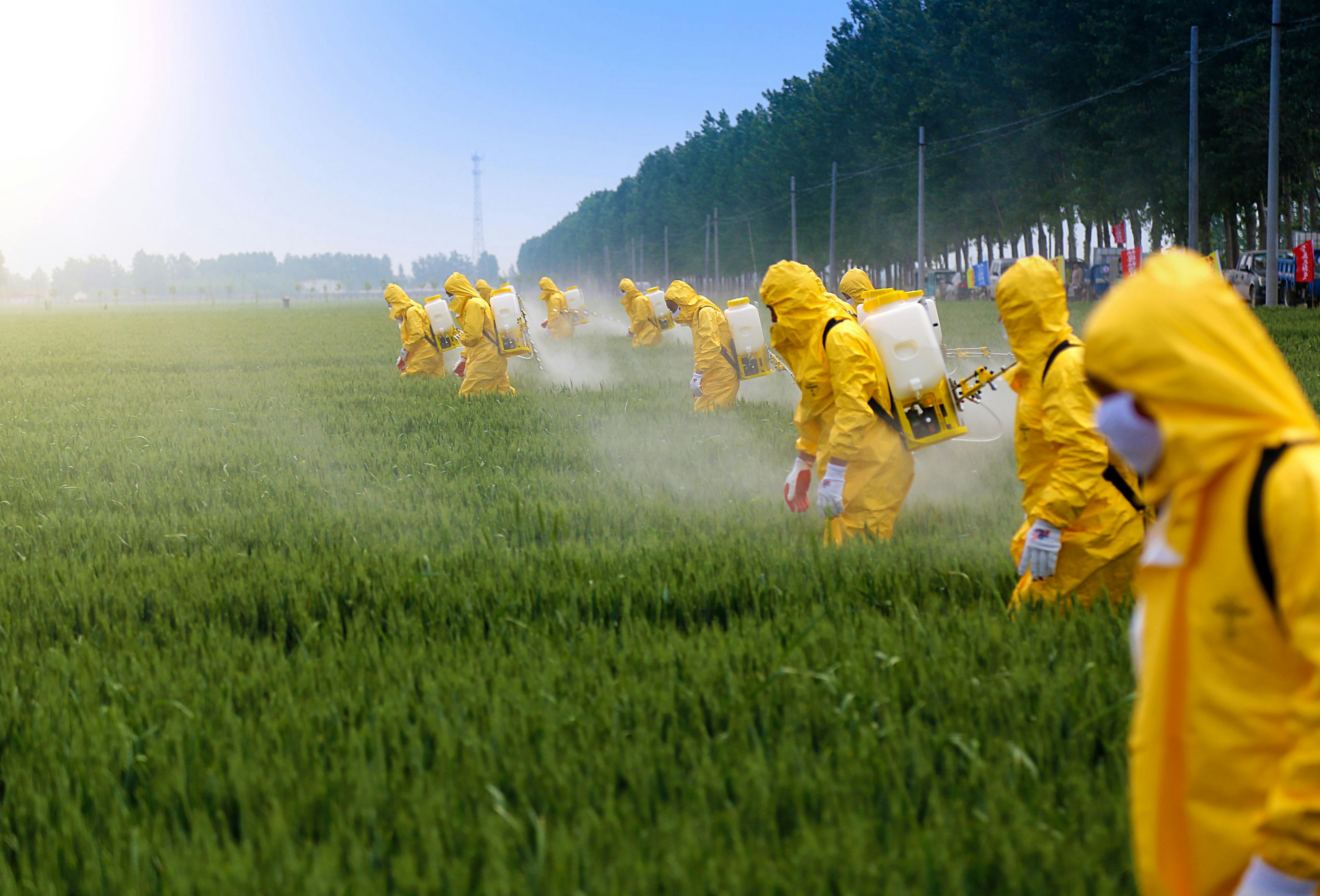 Farmers spraying pesticide in wheat field wearing protective clothing | Image Credit: © xb100 - stock.adobe.com.