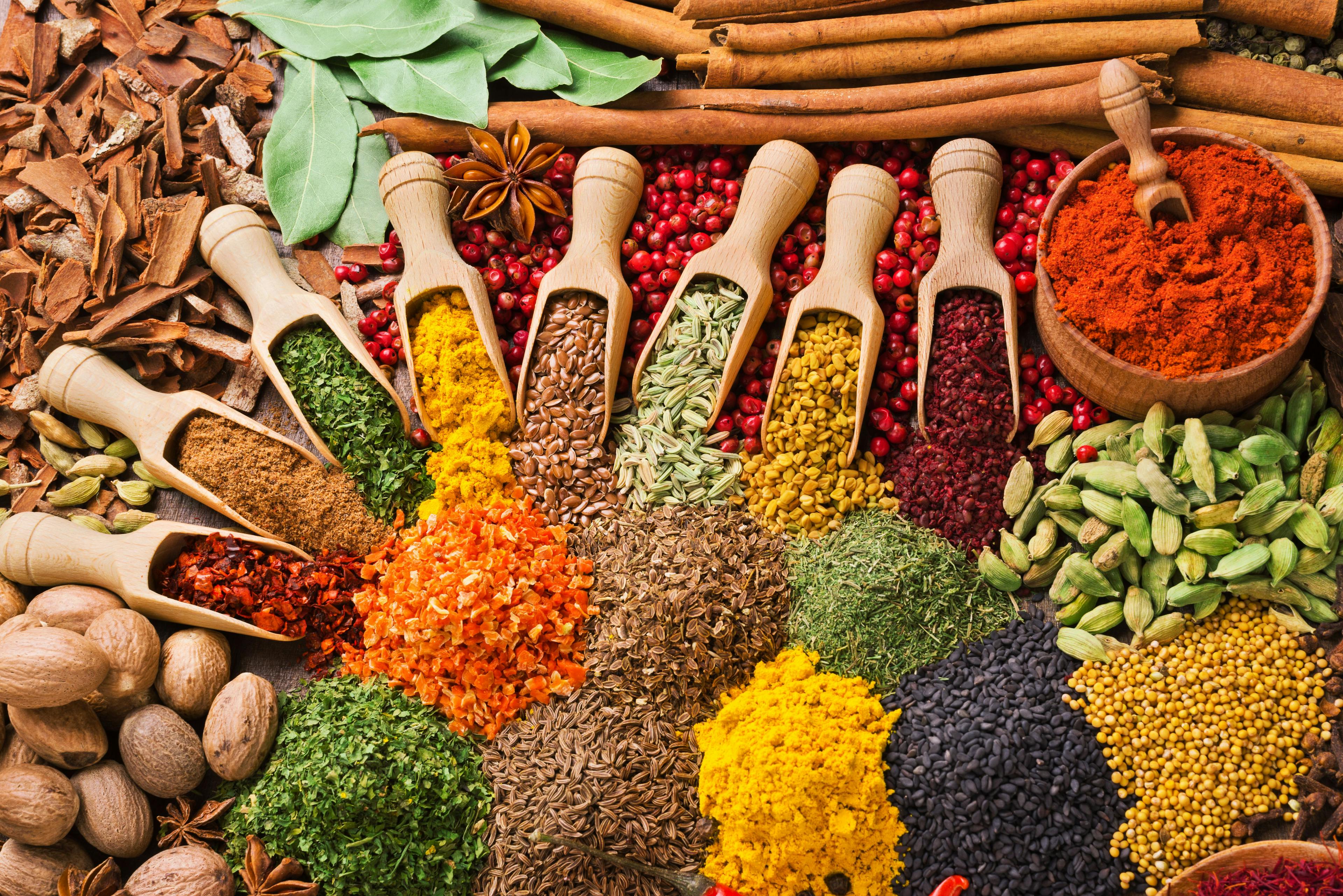 composition with different spices and herbs | Image Credit: © andriigorulko - stock.adobe.com.