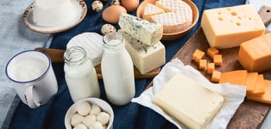 Different types of dairy products | Image Credit: © bit24 - stock.adobe.com.