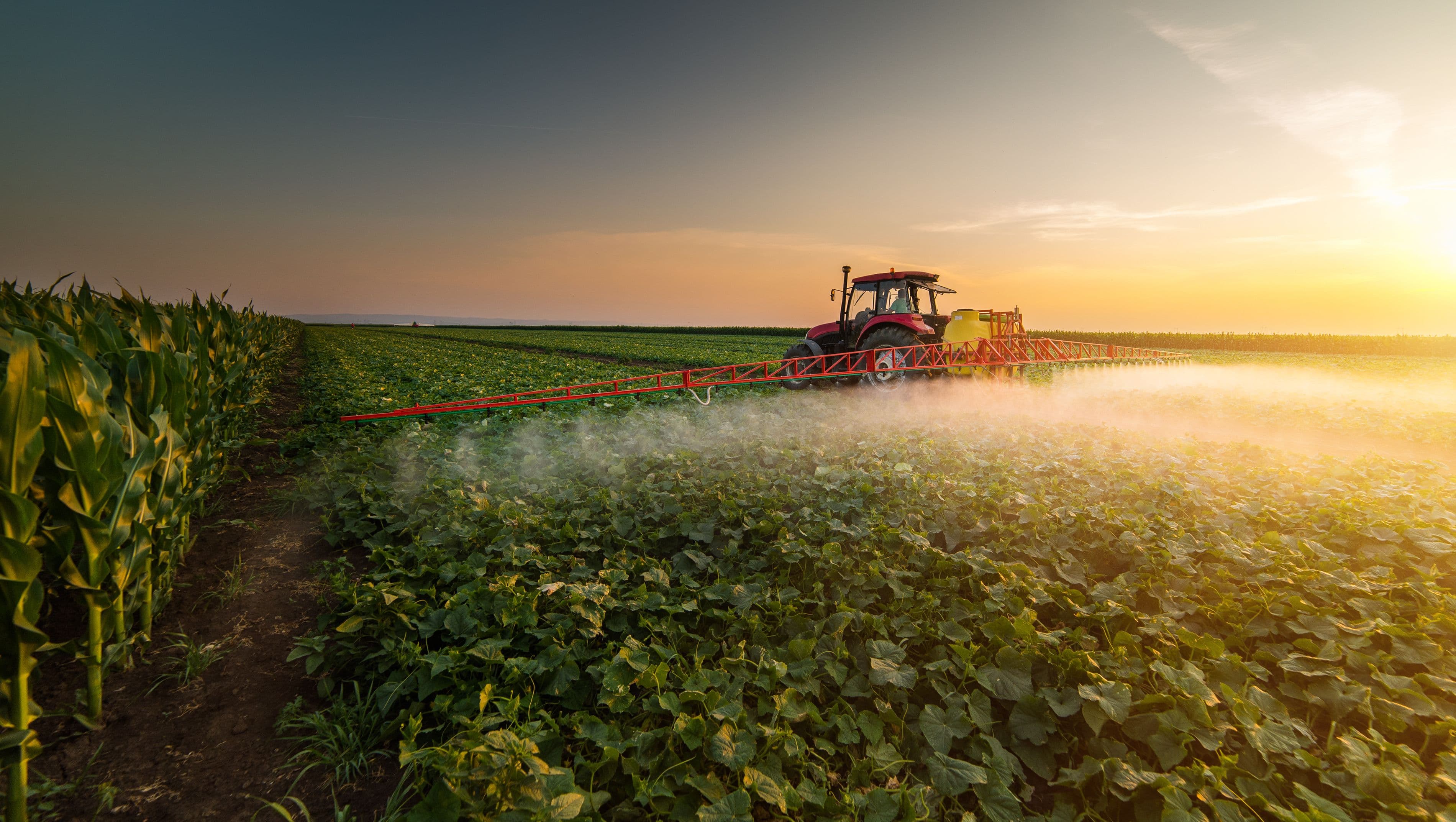 Tractor spraying pesticides on vegetable field with sprayer at spring | Image Credit: © Dusan Kostic - stock.adobe.com