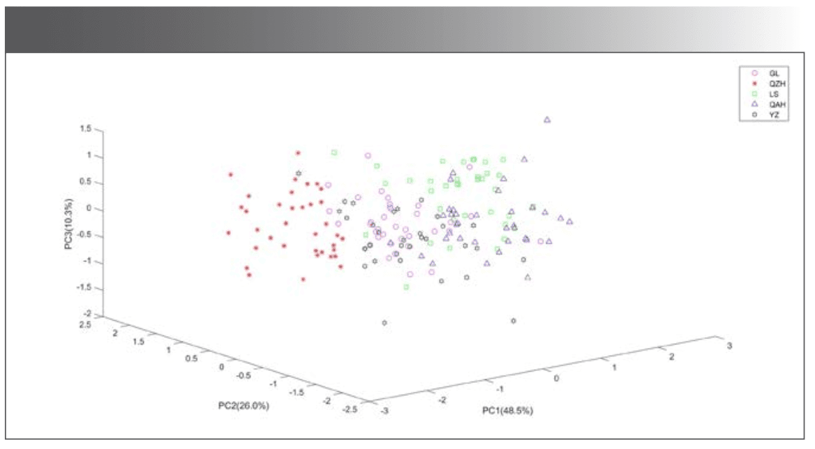 Figure 3: The distribution of millet samples in the space composed by the first 3 PCs.