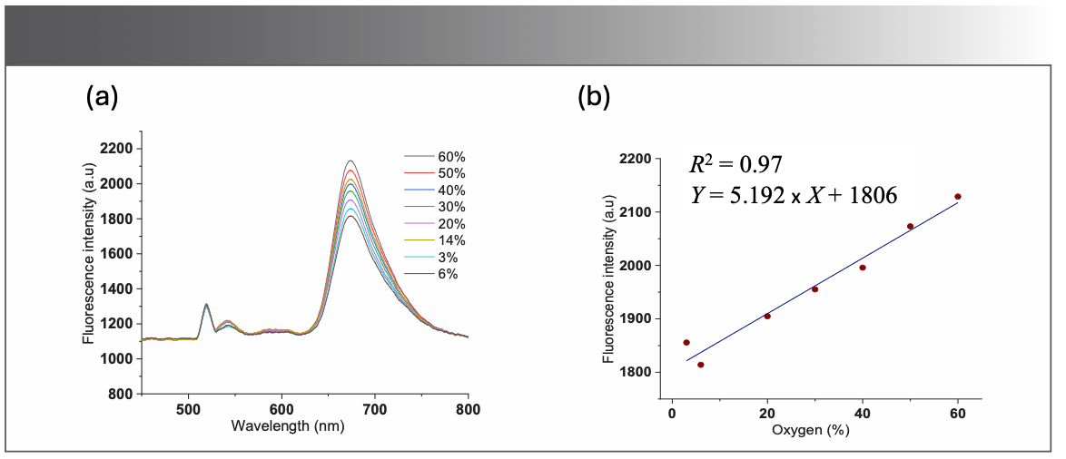 FIGURE 6: (a) Recordings of fluorescence spectra of the BODIPY-520 in the optical phantom for different levels of oxygen concentration in a sample with μs = 5/mm; (b) Fluorescence intensity at 675 nm, the fitted curve shows the linear trend of the BODIPY-520 fluorescence intensity as a function of oxygen concentration.