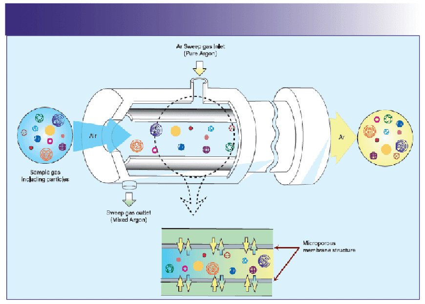 FIGURE 1: Schematic diagram of the exchange membrane in a GED.