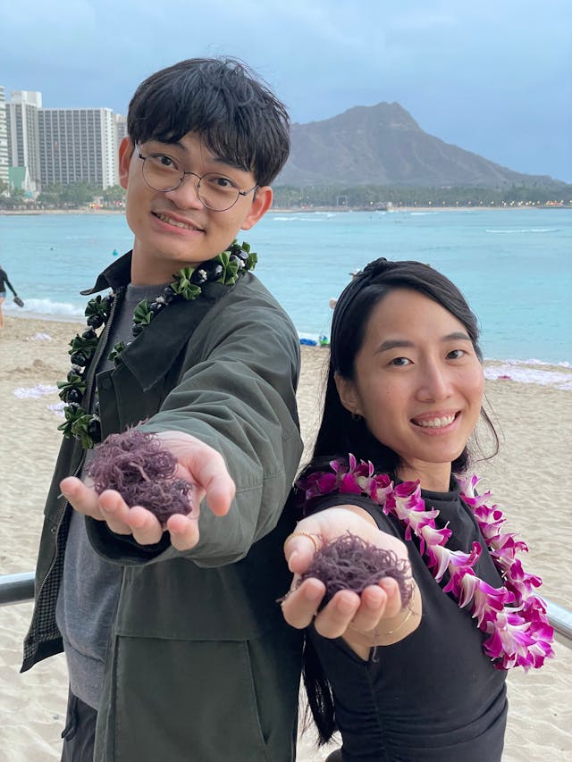 Determining Heavy Metals in Seaweed: An Interview with Kacie Ho of the University of Hawaii