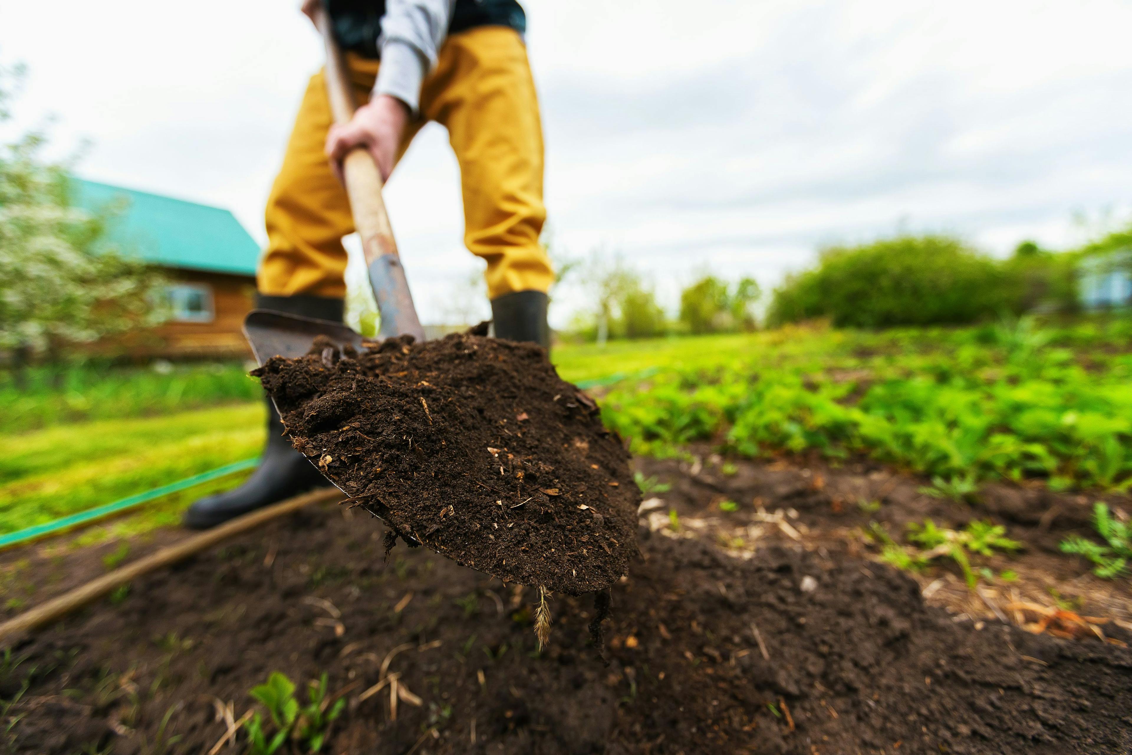 Gardener is digging soil with a shovel at spring green outdoors background. | Image Credit: © vitanovski - stock.adobe.com