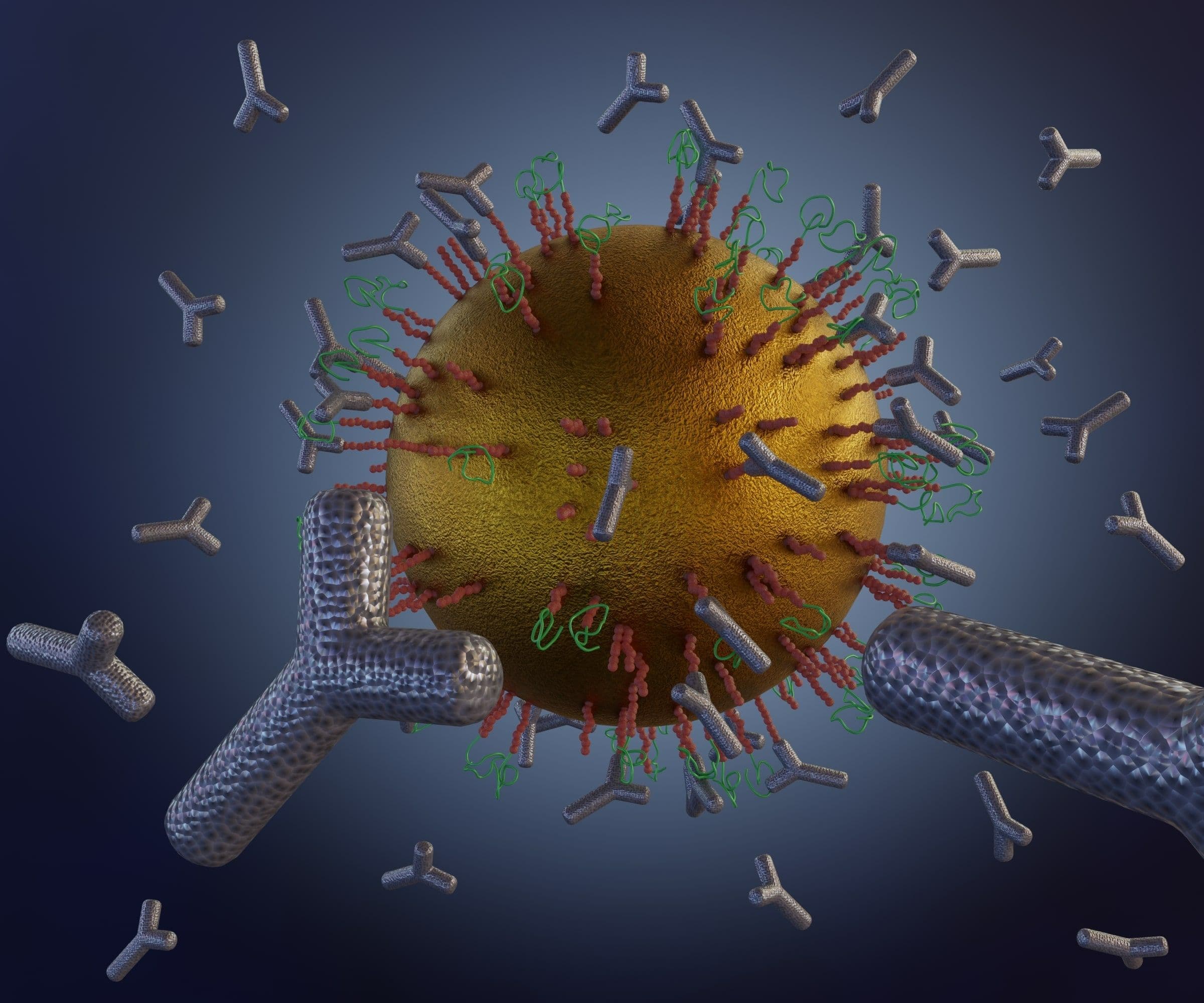 The gold nanoparticle with linker conjugates antibodies, proteins, peptides, ligands, and polymers for specific targeting cells 3d rendering | Image Credit: © Love Employee - stock.adobe.com. 