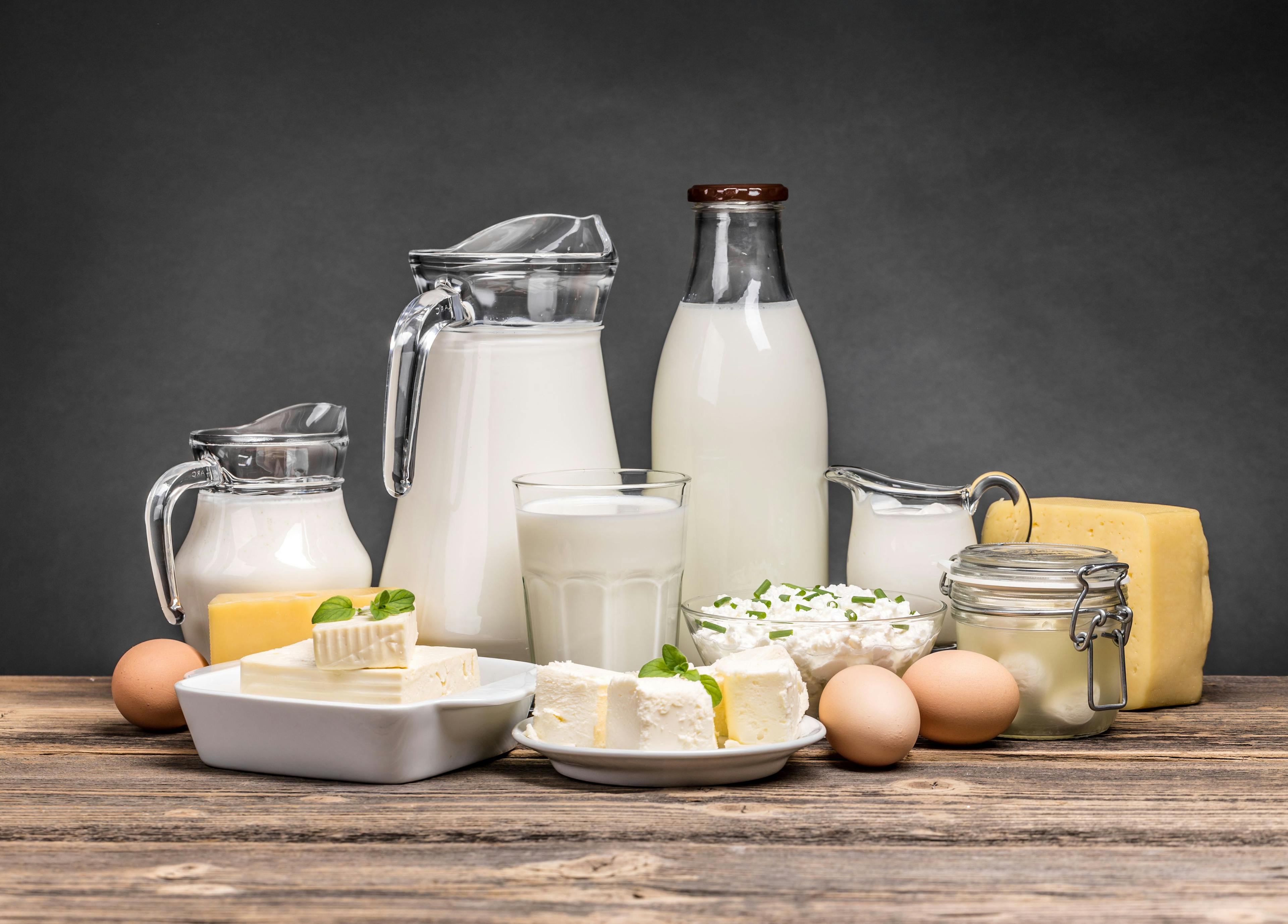 Assortment of dairy products | Image Credit: © Grafvision - stock.adobe.com.