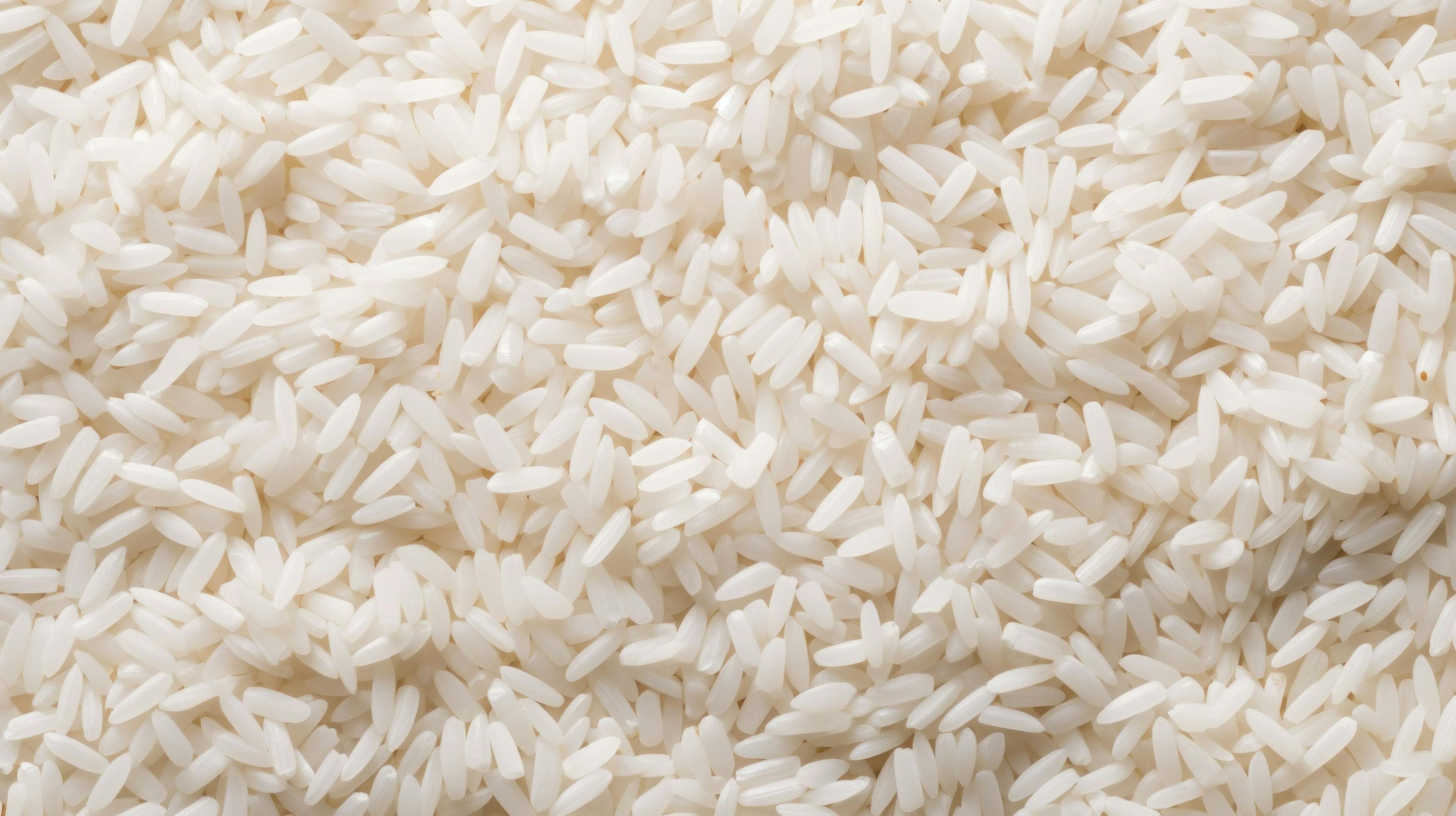 Top view of white rice seeds texture background. Organic rice grain. Flat lay, top view. Generated with AI. | Image Credit: © Maroubra Lab - stock.adobe.com