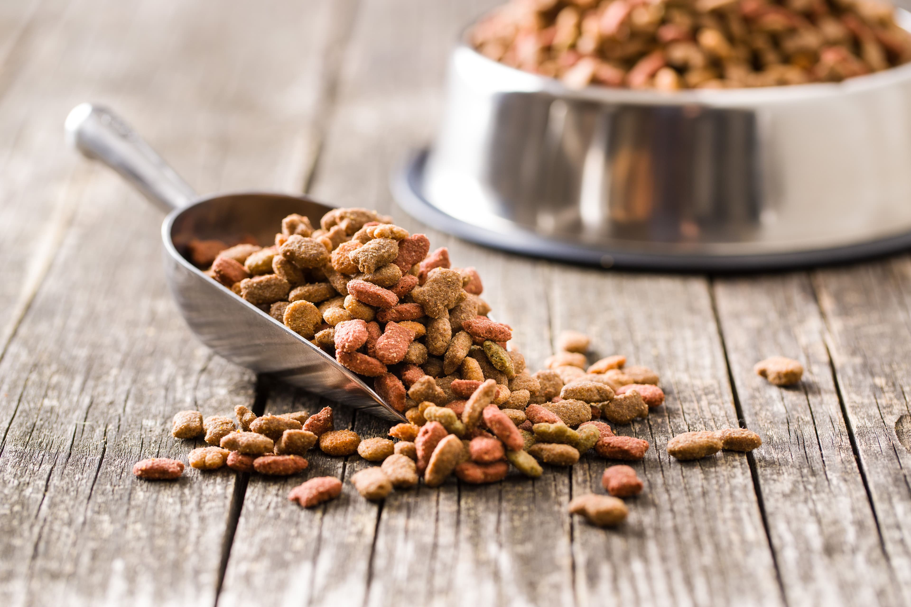 Dry pet food. Dry kibble food. | Image Credit: © Jiri Hera - stock.adobe.com