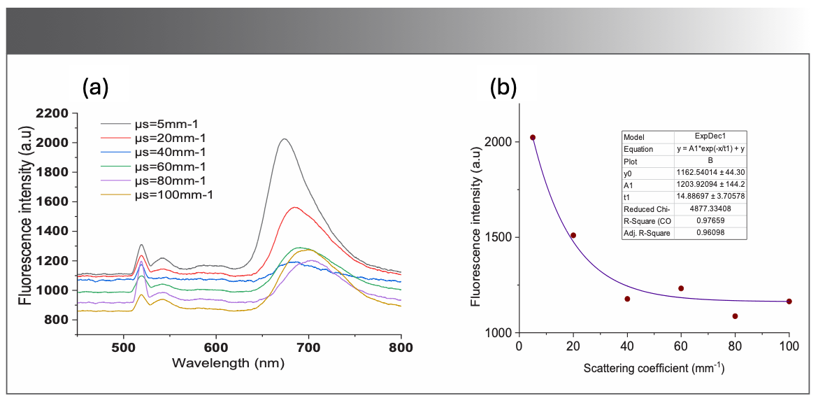 FIGURE 3: (a) Recordings of fluorescence spectra of the BODIPY-520 in the optical phantom for different scattering coefficients; (b) the fitted curve shows the exponential behavior of the fluorescence intensity (at 675 nm) as a function of the scattering coefficient.
