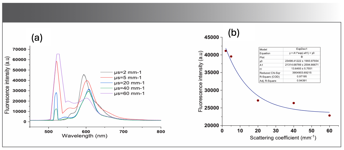 FIGURE 4: (a) Recordings of fluorescence spectra of the BODIPY-520 in the optical phantom without absorbing materials for different scattering coefficients; (b) Fluorescence intensity at 600 nm, the fitted curve shows the exponential behavior of the fluorescence intensity as a function of the scattering coefficient.