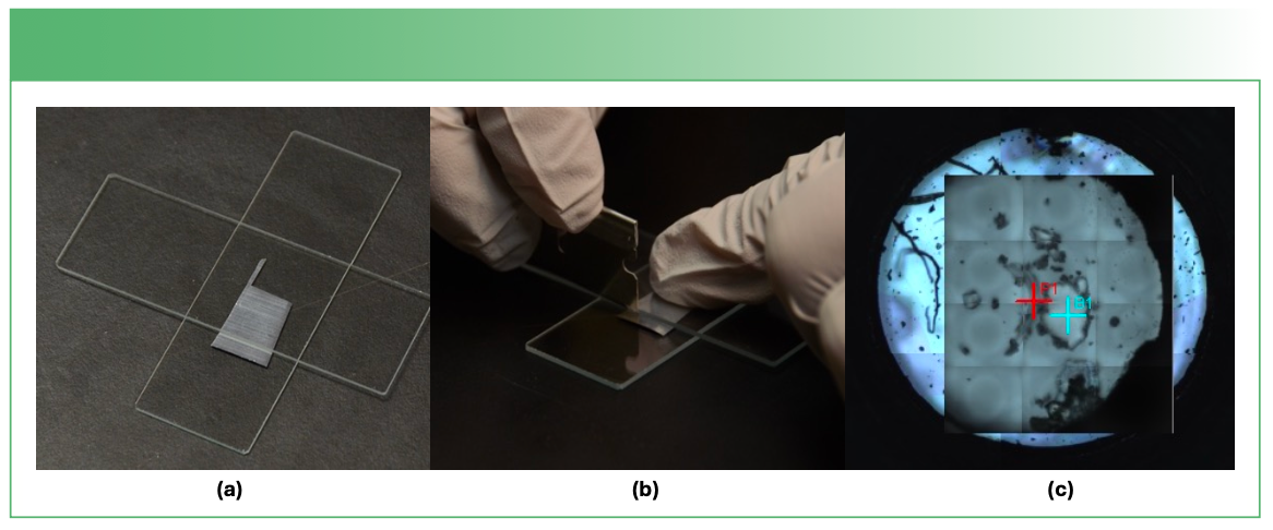 FIGURE 1: The two-slide arrangement for slicing films: (a) film between glass slides; (b) film being sliced; (c) sliver mounted in compression cell (irregular material is the KBr; the film is a curved laminate).