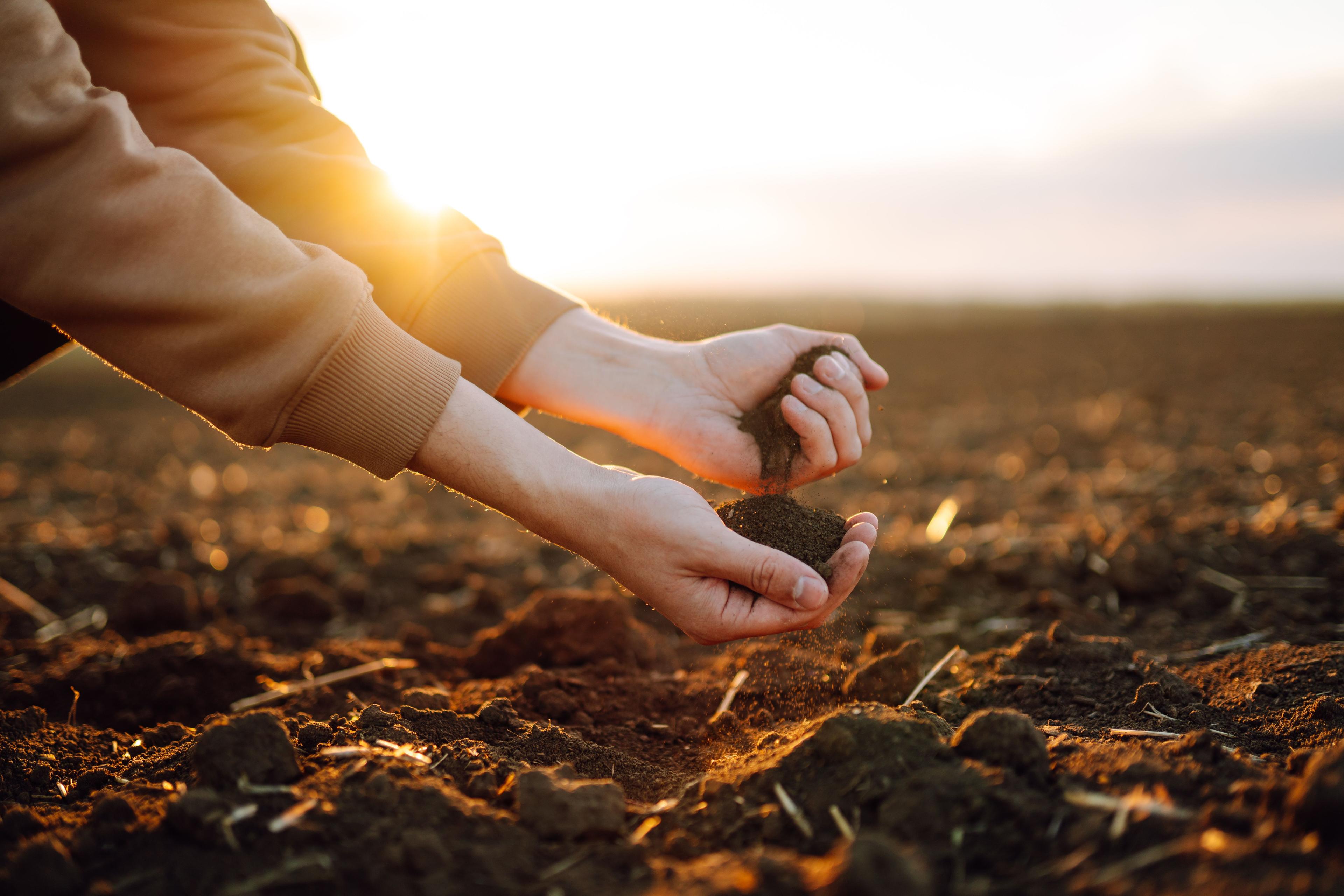 Farmer holding soil in hands close-up. Male hands touching soil on the field. Farmer is checking soil quality before sowing wheat. Agriculture, gardening or ecology concept | Image Credit: © maxbelchenko - stock.adobe.com