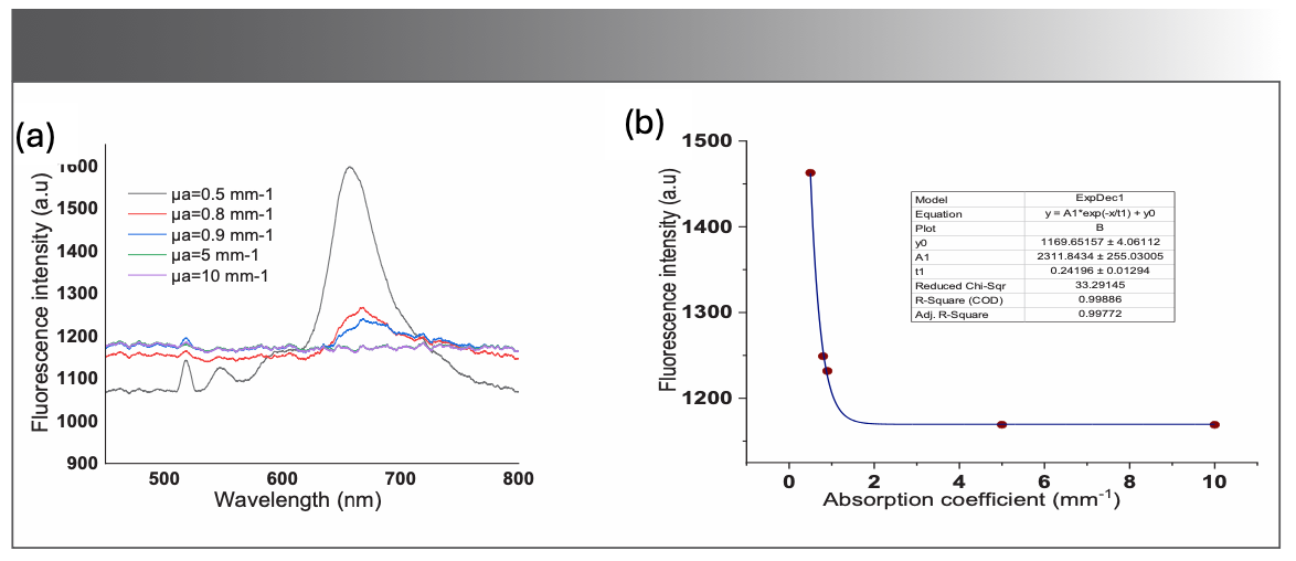 FIGURE 5: (a) Recordings of fluorescence spectra of the BODIPY-520 in the optical phantom for different absorption coefficients; (b) Fluorescence intensity at 675 nm, the fitted curve shows the exponential behavior of the fluorescence intensity as a function of the absorption coefficients.